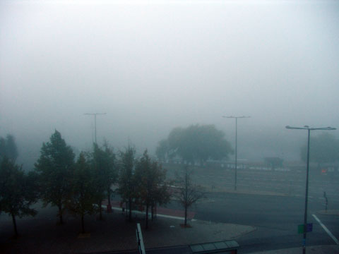 swed-fog-1.jpg